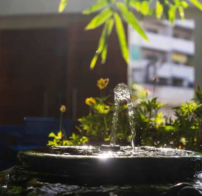 a little fountain in the yard