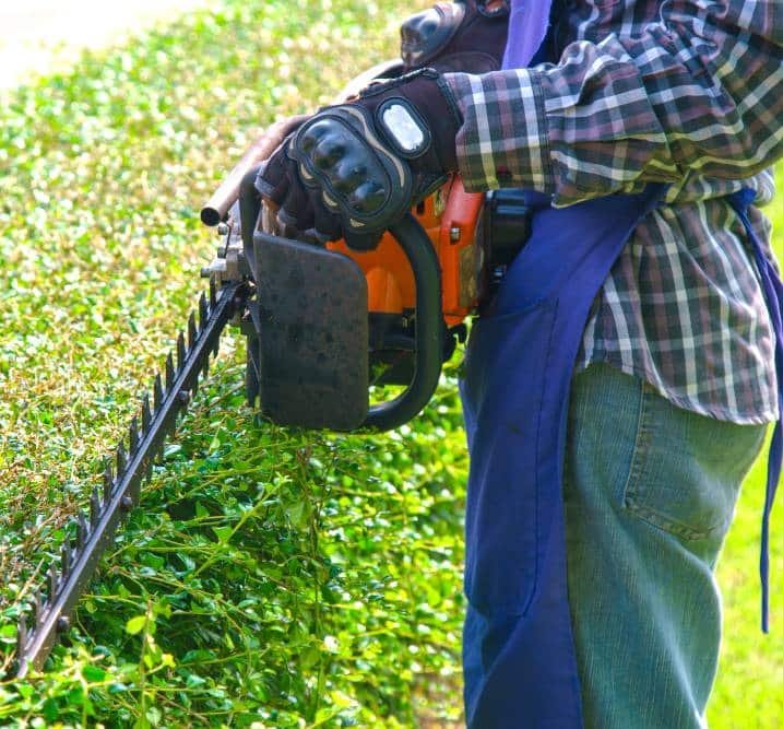 a man trimming branches using a petrol hedge trimmer