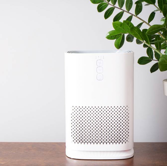 a modern air purifier with ionization and houseplant