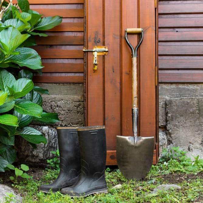 gardener tools beside a shed