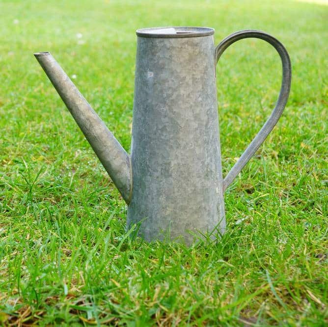 metal watering can in a grassy field